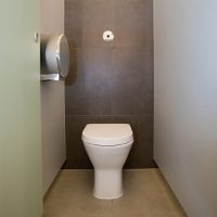 Langley Back to Wall Rimless Toilet Pan at Dover Castle