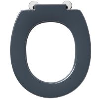 Armitage Shanks Contour 21 toilet seat in Charcoal - S4066RN