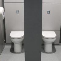 SanCeram Langley Back to Wall toilet pan at Leventhorpe Academy