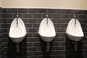 SanCeram Chartham Exposed Trap Urinal Bowls at Consall Hall Gardens