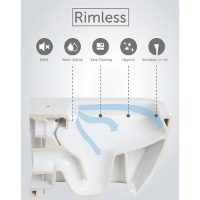 Rimless WC Technology