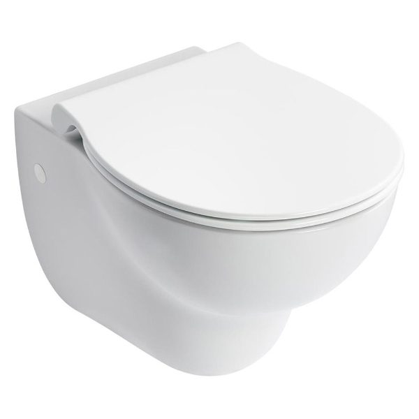 Armitage Shanks Contour 21+ Wall Hung Rimless Toilet Pan - S0443HY