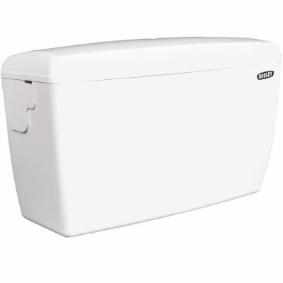 Thomas Dudley Dudley D exposed auto urinal cistern